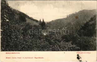 1908 Nagybánya, Baia Mare; Fokhagymás-völgy. Kovács Gyula kiadása / valley (fl)