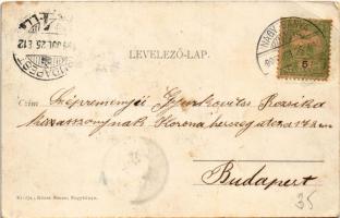 1905 Nagybánya, Baia Mare; Ligeti részlet festőkkel, festőiskola. Rózsa Simon kiadása / park, painte...