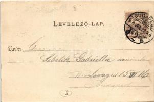 1900 Budapest II. Hűvösvölgy, Villamos vasút végállomás, Balázs vendéglője. Divald Károly 307