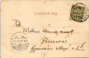 1905 Budapest V. Deák Ferenc utca, Szálloda és kávéház az Angol Királynéhoz, üzlet, hirdetőoszlop (D...