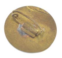 ~1970-1980. "Nagykőrösi Konzervgyár" műgyantás jelvény (20mm) T:2