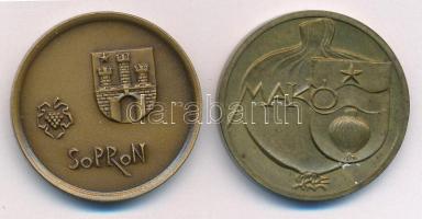 DN Sopron kétoldalas bronz emlékérem (32mm) + Makó kétoldalas bronz emlékérem (32mm) T:1,1-