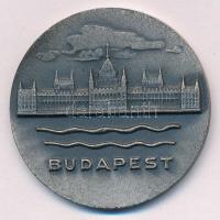 DN Budapest kéroldalas ezüstpatinázott bronz emlékérem (40mm) T:1-