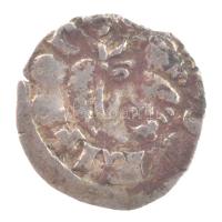 1373-1382 szerecsenfejes Denár Ag I. Nagy Lajos (0,52g) T:VF patina
