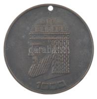 ~1997. 1000 - Szent István egyoldalas öntött bronz plakett, tetején furattal (70mm) T:1