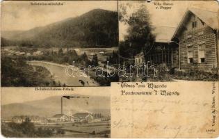 1912 Wygoda, Solotwina-mizunzka, Villa Baron v. Popper, Holzdestillations-Fabrik / villa, wood distillation factory. Verlag A. Schorr (b)