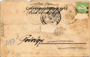 1912 Wygoda, Solotwina-mizunzka, Villa Baron v. Popper, Holzdestillations-Fabrik / villa, wood disti...