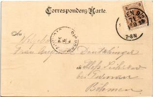 1898 (Vorläufer) Wien, Vienna, Bécs; Gruss von der Türkenschanze in Wien. Art Nouveau, floral