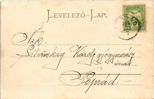 1904 Újtátrafüred, Neu-Schmecks, Novy Smokovec (Magas-Tátra, Vysoké Tatry);