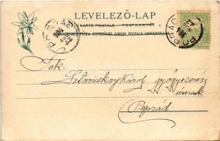 1904 Újtátrafüred, Neu-Schmecks, Novy Smokovec (Magas-Tátra, Vysoké Tatry); kávéház és vendéglő, étt...