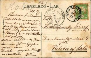 1907 Vágbeszterce, Povazská Bystrica; Vágvölgy, látkép zsinagógával. Waldapfel Gyula kiadása / Das W...