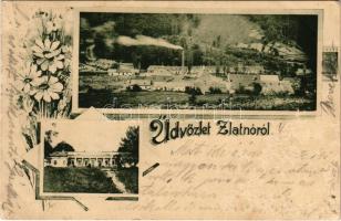1904 Zlatnó, Zlatnótelep, Zlatno; üveggyár, kastély / glassworks, glass factory, castle. Art Nouveau, floral (b)