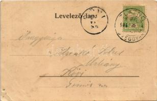 1904 Zlatnó, Zlatnótelep, Zlatno; üveggyár, kastély / glassworks, glass factory, castle. Art Nouveau...