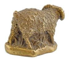 Jelzés nélkül: Rackajuh. Bronz, m: 5 cm