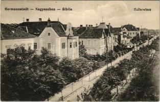 1915 Nagyszeben, Hermannstadt, Sibiu; Hallerwiese / Haller rét. J. Bein kiadása / street, villas
