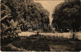 1911 Pozsony, Pressburg, Bratislava; Ligeti díszkert / Au-Park / park (EK)