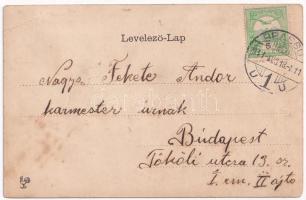 1911 Brassó, Kronstadt, Brasov; Königl. ung. Finanzpalais / Pénzügyi palota. Szecessziós litho keret...