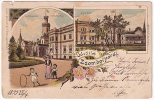 1899 (Vorläufer) Zsombolya, Hatzfeld, Jimbolia; Gróf Csekonics Csitó kastélya, Park. Manzin és Ferch kiadása / castle, park. Art Nouveau, floral, litho (b)