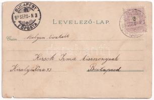 1899 (Vorläufer) Zsombolya, Hatzfeld, Jimbolia; Gróf Csekonics Csitó kastélya, Park. Manzin és Ferch...