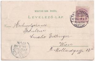 1898 (Vorläufer) Nagyvárad, Oradea; Városi színház, múzeum, kereskedelmi csarnok, püspöki palota és ...