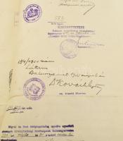 1928 A Pázmány Péter Tudományegyetem által kiadott orvosi diploma, szárazpecséttel, okmánybélyeggel ...