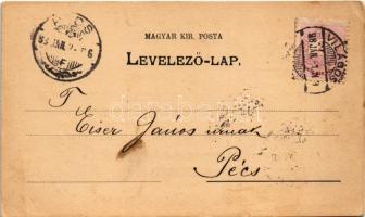 1898 (Vorläufer) Világos, Siria; A világosi Magyar-Francia Cognac-Gyár (konyakgyár) válaszlapja Eise...