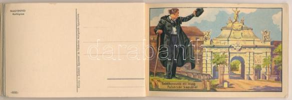 Erdély Örök Egyetlen Miénk! - 16 db régi erdélyi irredenta művészlap egy képeslapfüzetben Gebhardt é...