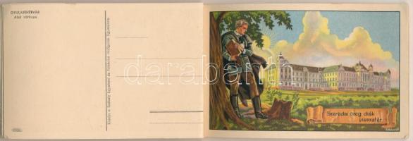 Erdély Örök Egyetlen Miénk! - 16 db régi erdélyi irredenta művészlap egy képeslapfüzetben Gebhardt é...