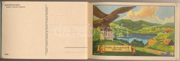 Erdély Örök Egyetlen Miénk! - 16 db régi erdélyi irredenta művészlap egy képeslapfüzetben Gebhardt é...