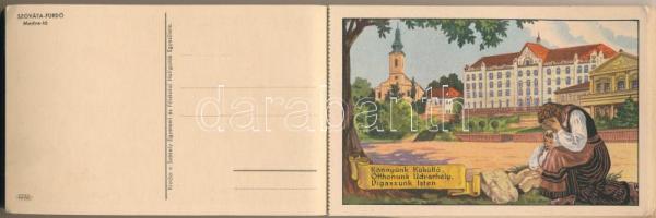 Erdély Örök Egyetlen Miénk! - 16 db régi erdélyi irredenta művészlap egy képeslapfüzetben Gebhardt é...