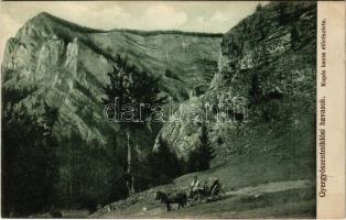 1913 Gyergyói-havasok, Muntii Giurgeu (Gyergyószentmiklós, Gheorgheni); Kupás havas előrészlete. Burján és Székely kiadása / mountain (EK)