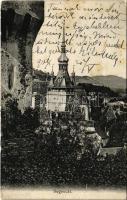 1907 Segesvár, Schässburg, Sighisoara; látkép. H. Zeidner kiadása / general view (EK)