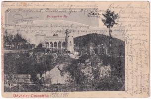 1901 Csucsa, Ciucea; Boncza kastély. Dunky fivérek fényképészek kiadása / castle (EK)