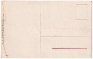 Stájerlakanina, Anina; Kirscha gyártelep. Friedrich Hollschütz kiadása / Fabriks Anlage / factory (f...