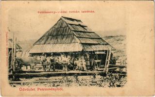 1901 Petrozsény, Petrosani; Petrozsény-vidéki román lakóház. Joanovits és Sternád kiadása / Romanian house (fa)