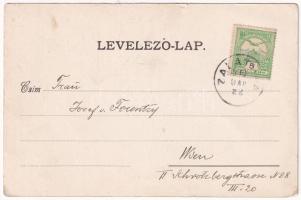 1910 Zalatna, Zlatna; M. kir. kohótelep. Nagy Árpád kiadása / iron factory, ironworks, smelter (kis ...