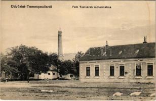 Temespaulis, Pavlis; Falb Testvérek motormalma / motor mill (fl)