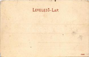 Borszék, Borsec; bejárat a fürdőbe / Einfahrt nach Borszék / spa, bath entrance (EM)