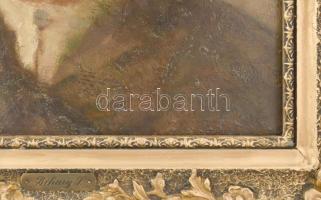 Bihari Sándor (1855-1906): Portré. Olaj, fa. Jelezve jobbra középen. Dekoratív fakeretben, 39×36,5 c...