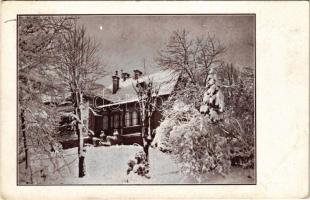 1933 Budapest XII. Svábhegy, villa télen (EB)