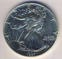 USA 1987. 1$ Ag 1oz. "Liberty" T:1