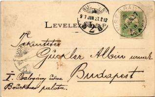 1907 Visegrád, Gizella-telepi fürdő és üdülőhely, Magán nyaraló a telepen, villa (EK)