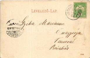 1909 Lesencetomaj, Lesencze-Tomaj (Keszthelyi-fennsík); Hertelendy kastély (EK)