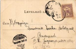 1900 Érd, látkép. Stiegler testvérek kiadása (EK)