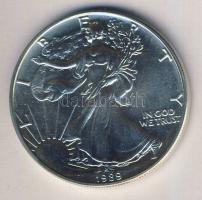 USA 1989. 1$ Ag 1oz. "Liberty" T:1