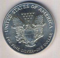 USA 1989. 1$ Ag 1oz. "Liberty" T:1