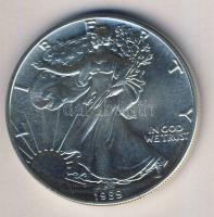 USA 1989. 1$ Ag 1oz. "Liberty" T:1