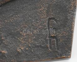 Farkas István Béla (1915-2005) Salome akt bronz plakett, jelzett 16x14 cm