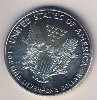 USA 1993. 1$ Ag 1oz. "Liberty" T:1