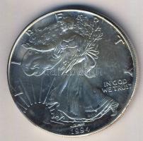 USA 1994. 1$ Ag 1oz. "Liberty" T:1